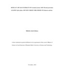 ELISHEBA IMBAYA THESIS.pdf.jpg
