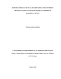 Thesis corrected-Tina, Nov pdf 2.pdf.jpg